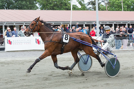 John Mikkelsen som i ungdommens v�r p� travbanen