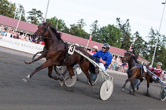 �rets travhest forfulgt af d�rlige startspor