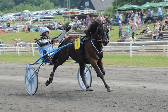 Bornholmer henter topkusk fra Skive