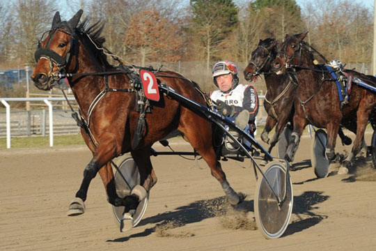 Ny travhest handlet til Bornholm