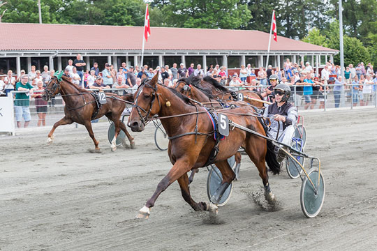 Store mindedag p� travbanen