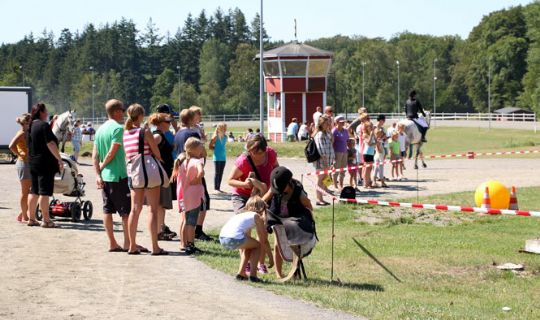 Hestedag aflyst for andet �r i tr�k