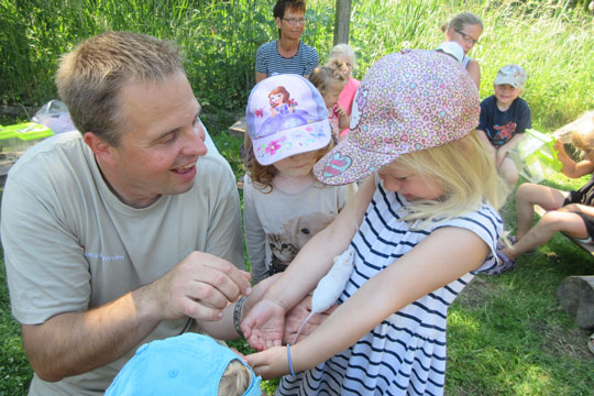 Mus og slanger i Lillemyr