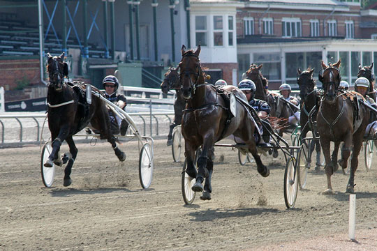 Bornholmsk travsportshistorie i K�benhavn