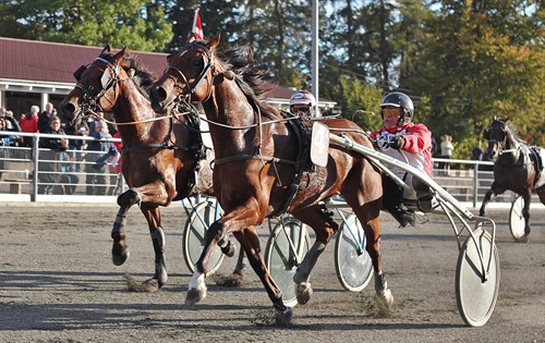 Endelig f�rste r�kke til �rets travhest