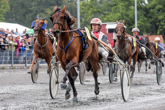 Bornholmeropdr�t tippet toer i Sverige