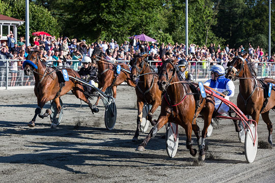 Jackpot igen p� travbanen