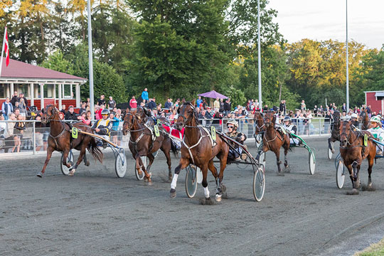 Jackpot i trioen p� travbanen