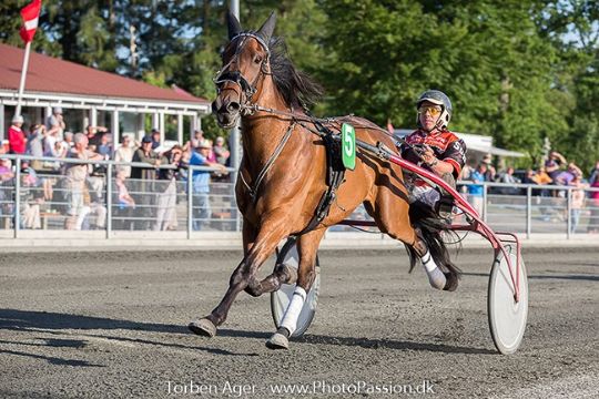 Hoppe st�rste V5 favorit p� travbanen i aften
