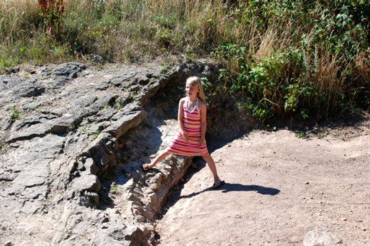 Millioner til nyt storsl�et naturprojekt