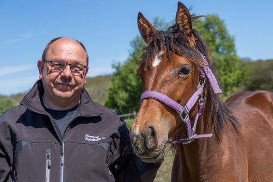 Travhesten Bornholm Nu snart pr�vel�bsklar