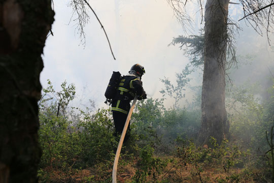 Stor skovbrand p� skydeterr�n i Pedersker