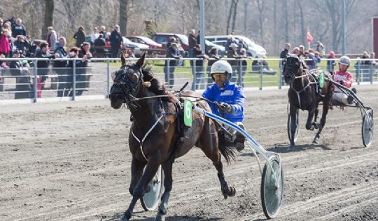Ny travhest handlet til Bornholm