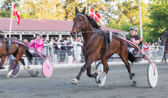 Great Arnie st�rste V5-favorit i aften