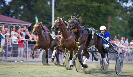 Travbanen i konkurrence med dansk bane p� fredag