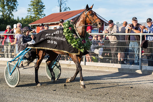 Wild Jessie hoppemester for tredje gang