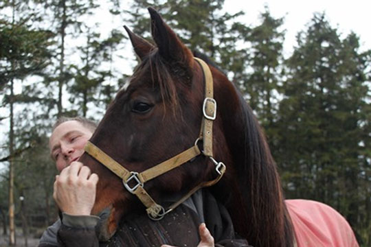Bornholmskejet travhest tr�nerskiftet til hovedstaden