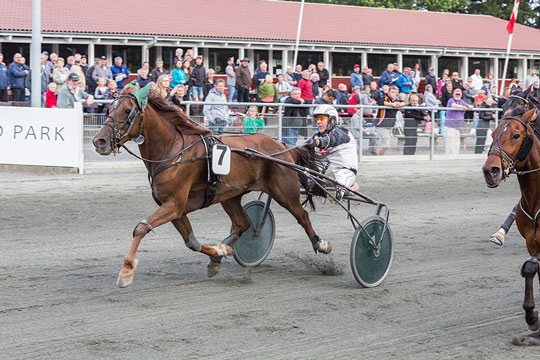 Fredagstrav med favoritsejre