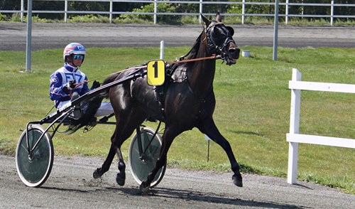 Nu skal bornholmer levere i hovedstaden