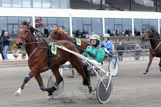 Kusk fra Lunden debuterer p� Bornholm