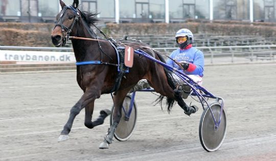 Bornholmeropdr�t videre til finalen trods diskvalifikation