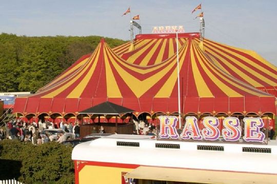 Uheld i Cirkus Arena