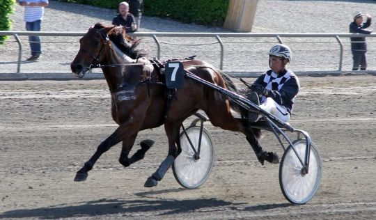 Meget p� spil for flere hesteejere p� tirsdag