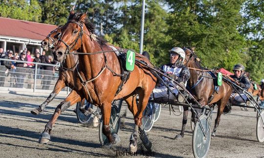 Str�by s�tter topstammet hest p� transferlisten