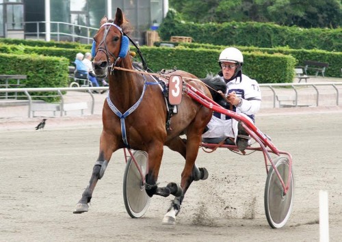 Travhest forlader Bornholm efter andenplads