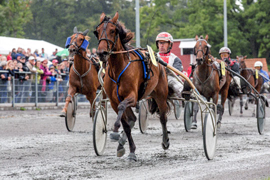 Tysker optimist med bornholmeropdr�t