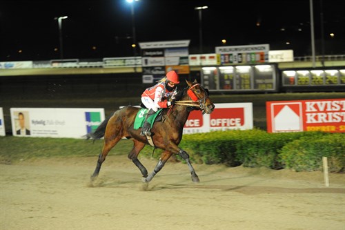 Ny hest handlet til Bornholm