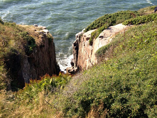 Hund reddet efter 35 meters styrt fra klipper