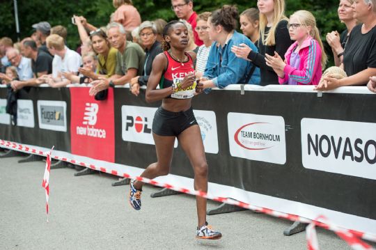 Favoritsejre i Almindingen