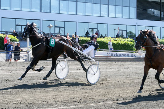 Topchance til bornholmsk ejet hest p� Fyn