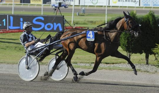 Hesteejere kan vinde 1.000 kroner