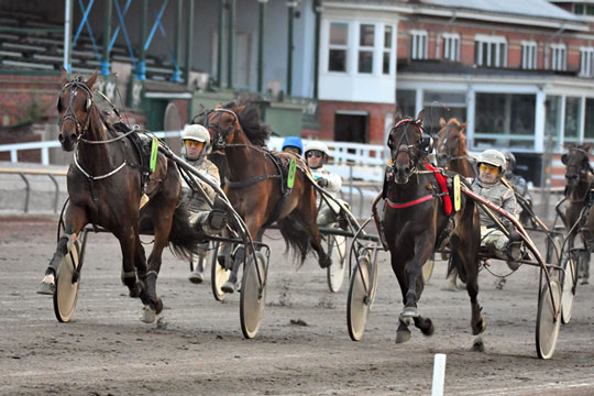 Bornholmsk opdr�t sejrede i Lunden