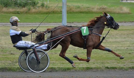 Bornholmeropdr�t jagter hattrick i eftermiddag