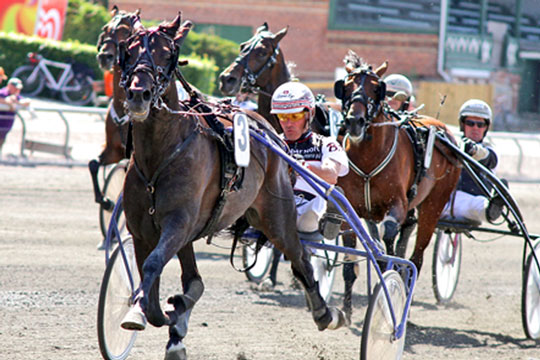 Ny hest til den bornholmske travsport