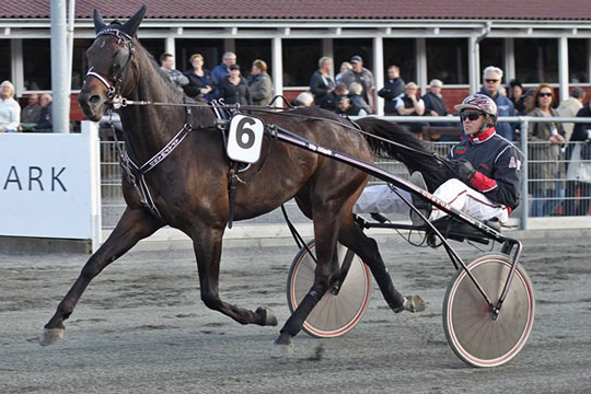 Bornholmere med i storsejr til 100.000 skr.