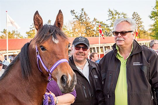 Travhesten Bornholm Nu klar til pr�vel�b