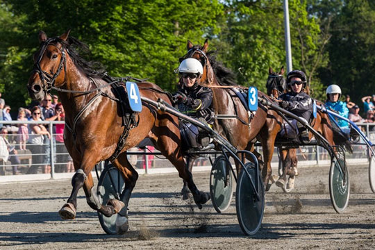 Bornholmer med i �rligt damel�b i Nyk�bing Falster