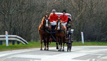 Hestevogn endte i gr�ften