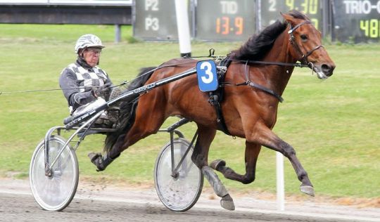 Bornholmsk eufori i K�benhavn