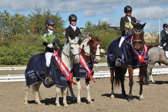 Distriktsmestre i dressurridning