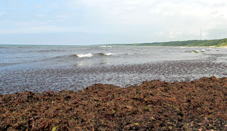 Der kan spares p� �ens strande