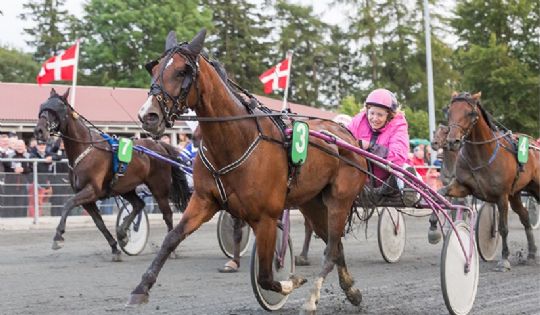 Travstald tror p� tre vinderchancer i morgen