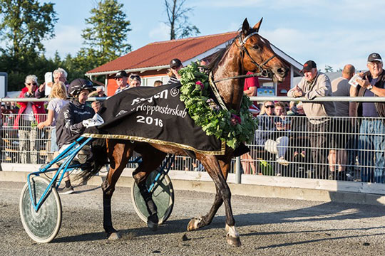 Tidlig weekend for mesterskabskusk