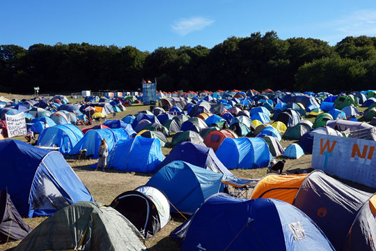 Voldsmand anholdt p� Wonderfestiwall