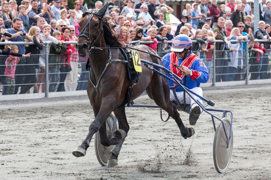 Banerekord p� mesterskabsdagen