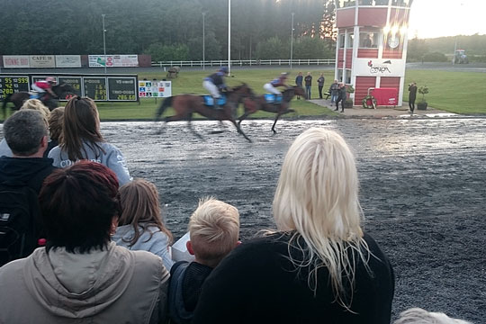 Overraskende mont�mester p� travbanen
